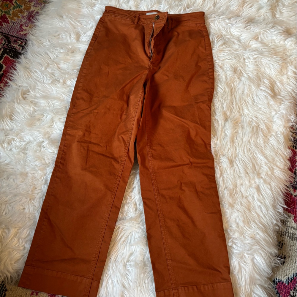 Everlane Terracotta Trousers